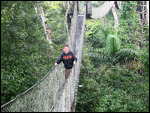 thumbnail.large.22.1363451049.3-canopy-walk
